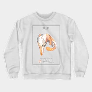 Venus Clouded Crewneck Sweatshirt